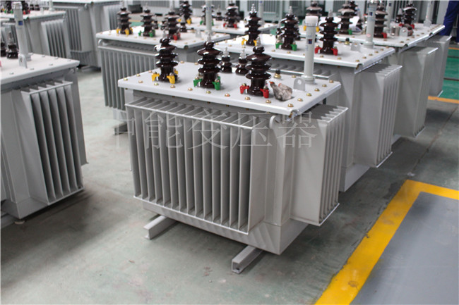 景德镇S22-250KVA/10KV变压器